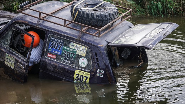 参与定期运 参与定期运