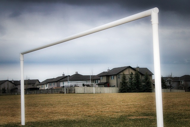 在本赛季 在本赛季