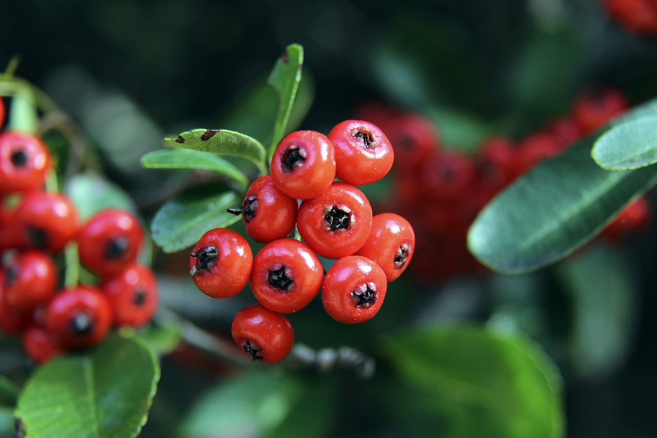 如何化解家 如何化解家