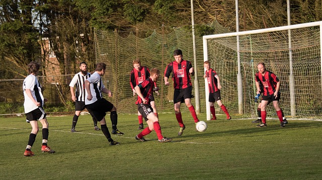 在巴黎的文 在巴黎的文