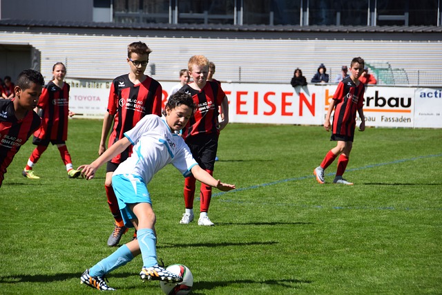 入胜的主题 入胜的主题